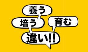 「養う」「培う」「育む」意味の違いと使い分け方 - 言葉の救急箱